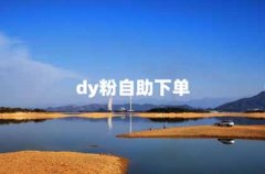 业务拓展新选择：抖音自助下单平台助你盈利