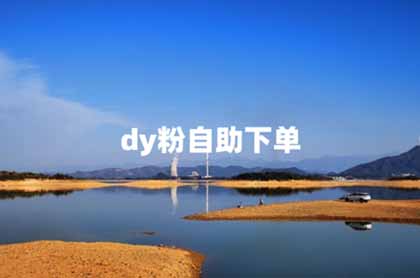 dy抖音自助下单平台助你快速盈利